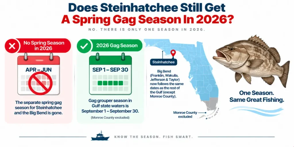 Does Steinhatchee Still Get A Spring Gag Season In 2026?