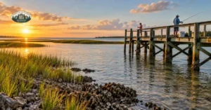 shore fishing Steinhatchee